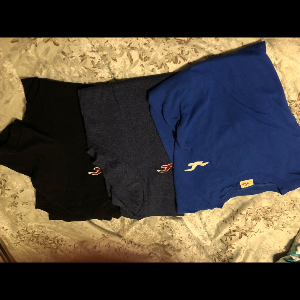 Hollister basic